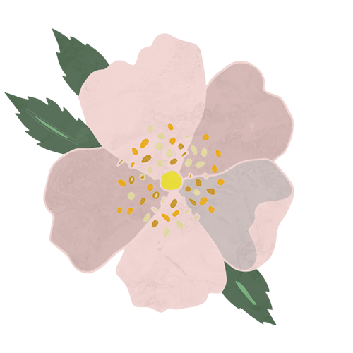 Greenypeeps After Dinner Tea