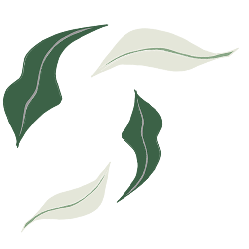 Classic Darjeeling Tea