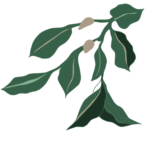 Greenypeeps English Breakfast Tea