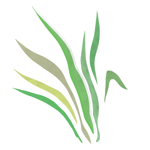 Lemongrass & Ginger Tea